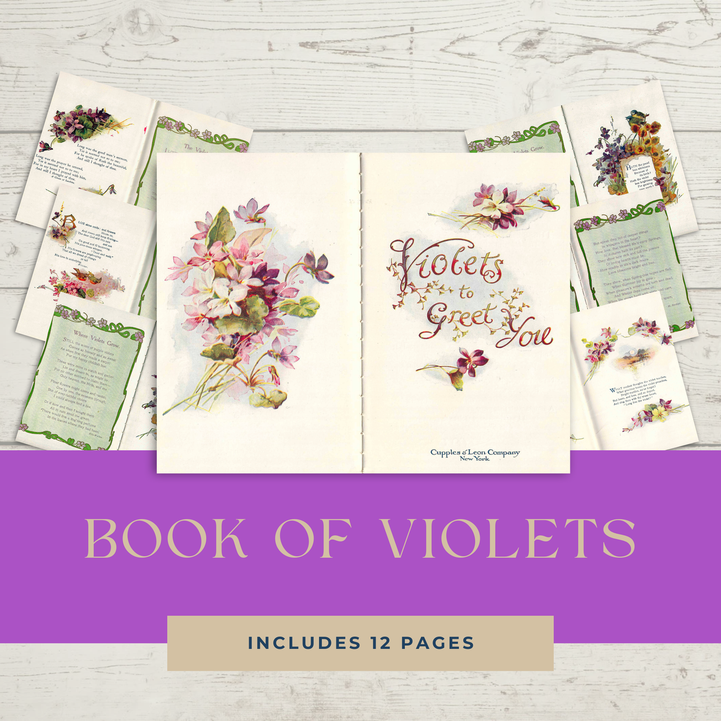 Victorian Poetry from 1914  illustrated with color paintings, Book of Violets, DIY Junk Journal or Mini Album Kit, Collage Papers | Digital Download