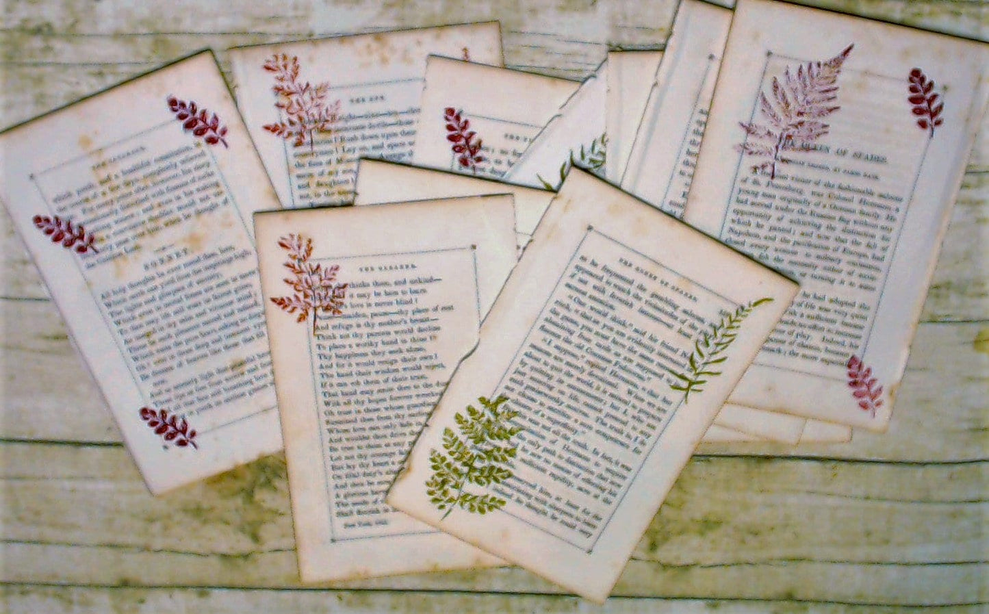 Vintage Book Pages stamped with Fall Leaves, Junk Journal Ephemera Lot –  The Scrapologist™
